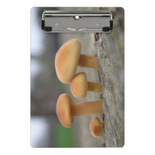 Klein whitstools Macro Mini Klembord