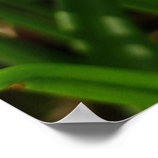 Klein wit op sneeuwval poster (Hoek)