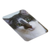 Klein-witte kat magneet (Rechterzijde)