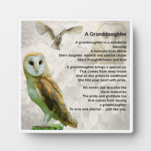 Kleindochter Poem Plaque - Owl design Fotoplaat