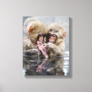 Kleine Aapjes Heet Springs, Japan Canvas Afdruk
