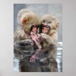 Kleine Aapjes Heet Springs, Japan Poster