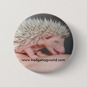 Kleine baby knop ronde button 5,7 cm