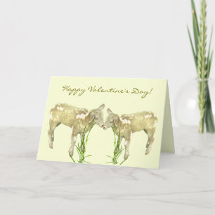 Kleine Baby lammetjes op gele Valentijnsdag Kaart