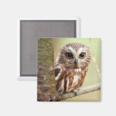 Kleine Baby | Ontarios Magneet (Voorkant / Achterkant)