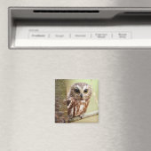 Kleine Baby | Ontarios Magneet (Insitu (Vaatwasser))