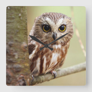 Kleine Baby Ontarios Vierkante Klok