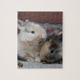 KLEINE BABY UITKERINGEN LEGPUZZEL