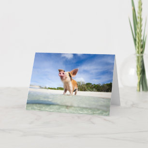 Kleine biggetje kaart