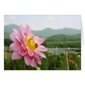 Kleine bijengrote wereld