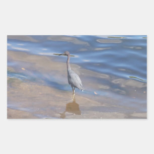 Kleine Blauwe Reiger Rechthoekige Sticker