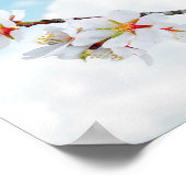  kleine Bluebird Poster (Hoek)