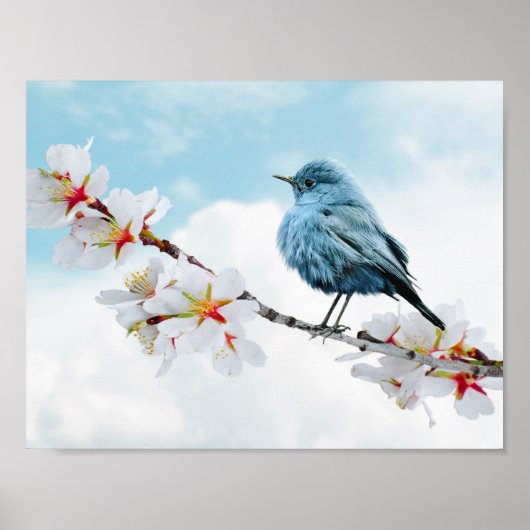  kleine Bluebird Poster (Voorkant)