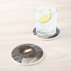 Kleine buffelstang op zonlicht water zandsteen onderzetter