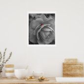 Kleine bug op een ventilator poster (Keuken)