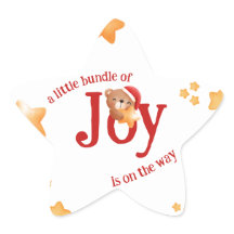 Kleine bundel van vreugde Beer