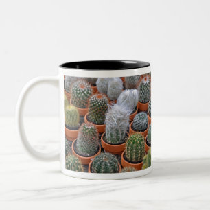 Kleine cactus-planten tweekleurige koffiemok