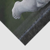 kleine cherub-tissue tissuepapier (Detail)