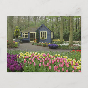 Kleine cottage bloemenwinkel, Keukenhof Tuinen, Briefkaart