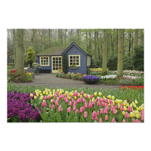 Kleine cottage bloemenwinkel, Keukenhof Tuinen, Foto Afdruk