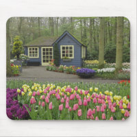 Kleine cottage bloemenwinkel, Keukenhof Tuinen,