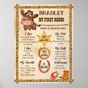 Kleine cowboy schattig baby paard in een pet mijlp poster