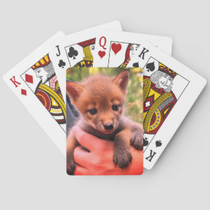 Kleine Coyote Pokerkaarten