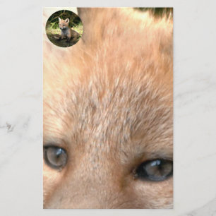 Kleine Cub Red Fox Briefpapier
