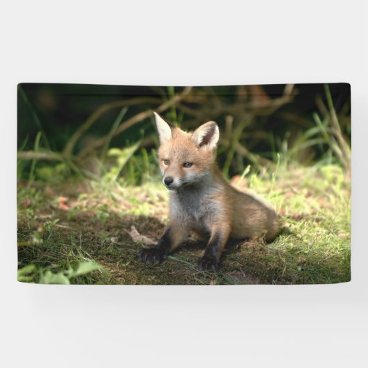 Kleine Cub Red Fox Spandoek (Horizontaal)