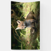 Kleine Cub Red Fox Spandoek (Verticaal)