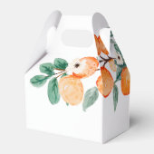 Kleine Cutie Clementine Favor Boxes Bedankdoosjes (Achterkant)