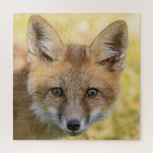 Kleine Cutie Fox Portret Legpuzzel