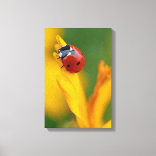 Kleine dame op een bloem canvas afdruk (Voorkant)