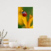 Kleine dame op een bloem poster (Keuken)