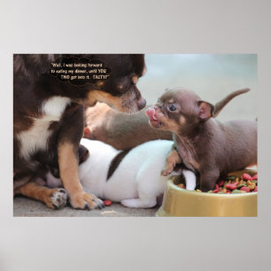 Kleine Dog Familie in het avondeten Poster