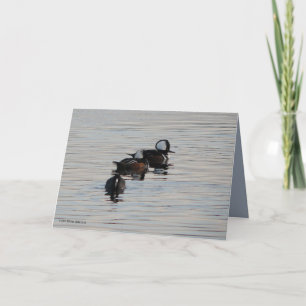 Kleine Duikers Kaart