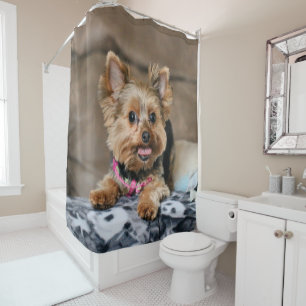 Kleine dynamo douchegordijn