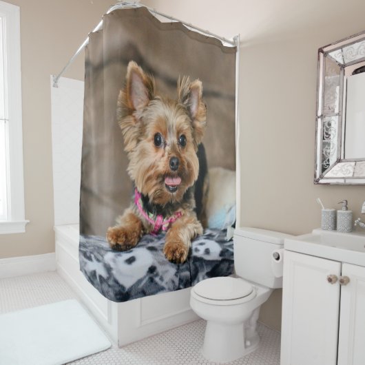 Kleine dynamo douchegordijn (In situ)