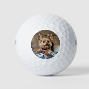 Kleine dynamo golfballen