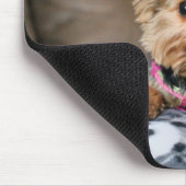 Kleine dynamo muismat (Hoek)