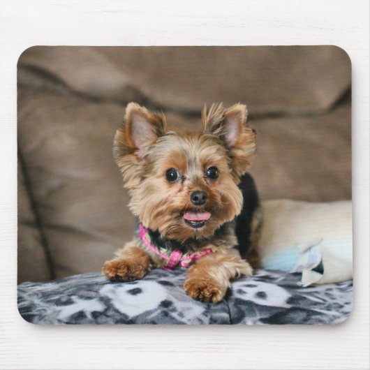 Kleine dynamo muismat (Voorkant)