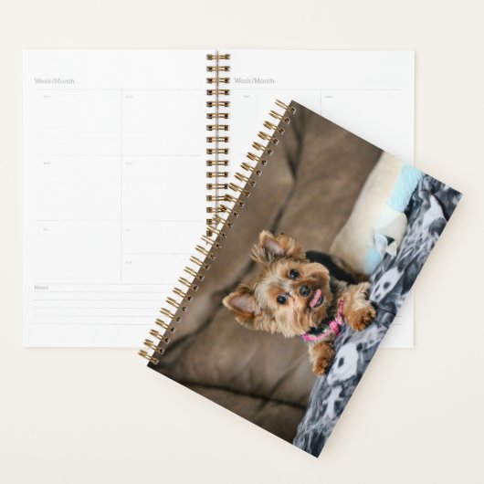 Kleine dynamo planner (Display)