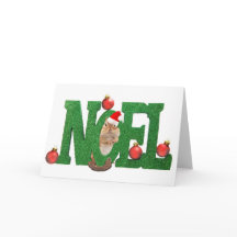 kleine eekhoorn Noel