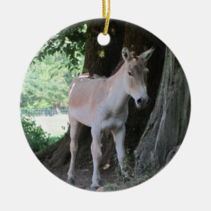 Kleine Ezel Keramisch Ornament