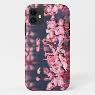 Kleine Flamingo's (Phoeniconaias minor), Afrika, iPhone 11 Hoesje