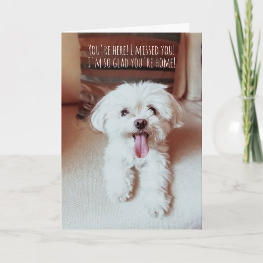 Kleine flinterhond blij om te zien dat jullie hond kaart (Voorkant)