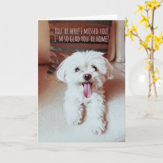 Kleine flinterhond blij om te zien dat jullie hond kaart (Gele Bloem)