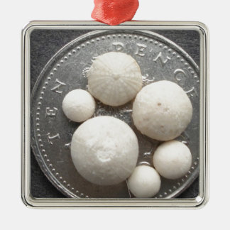 Kleine fossiele zeeen urchins op een stuk van 10p metalen ornament