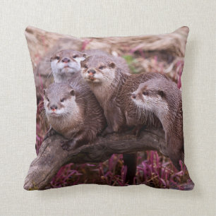 Kleine geclaimde otterpiloot kussen