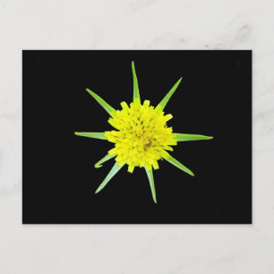 Kleine Geitenbaard Wilde Bloem Briefkaart